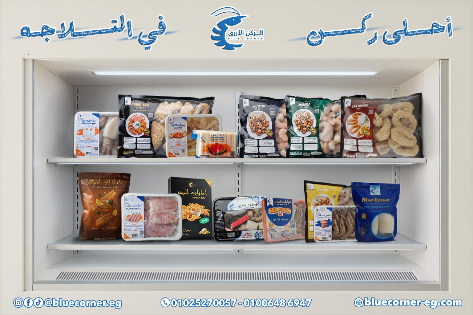 ChatGPT Image Feb 23, 2026, 05_58_25 AM